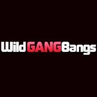 Wild GangBangs pornstar