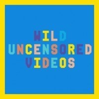 Wild Uncensored Videos pornstar